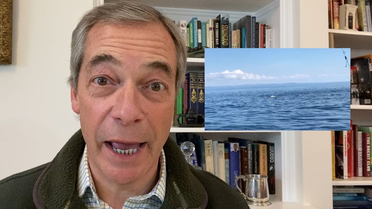 Bluefin Tuna are back in Britain.