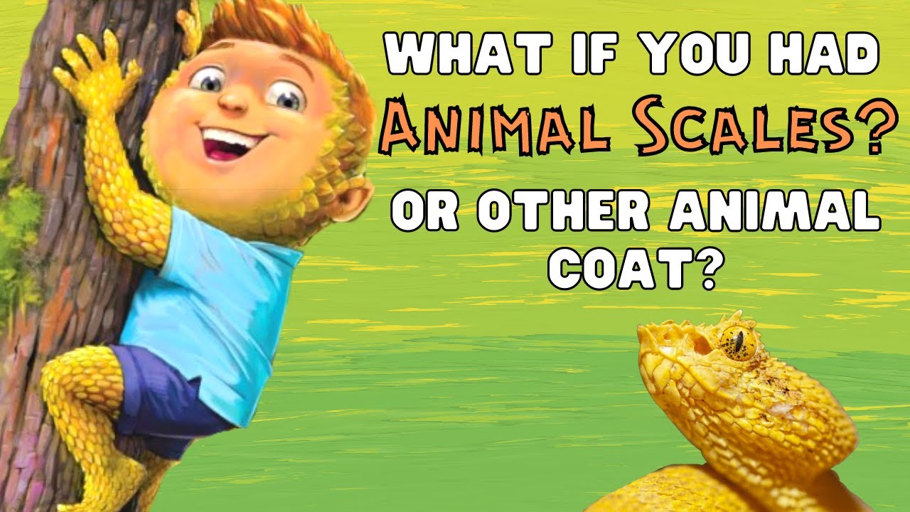 Read Aloud Books | Wild Animal Fun Facts For Kids!