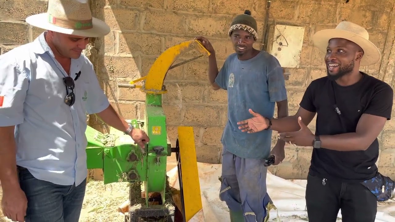 Un bon bâtiment ( environnement) est indispensable dans la réussite de l’élevage laitier 🇸🇳