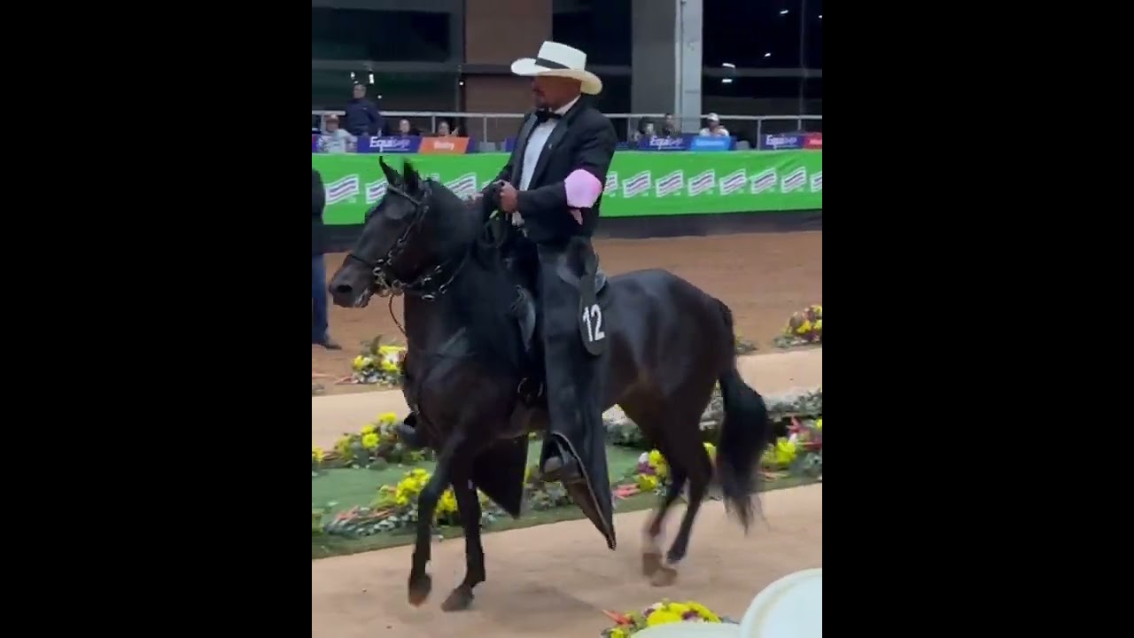 Electra De Hacienda Heinsen