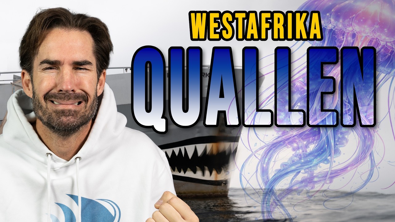 Quallen im Meer - Ozeane | Folge 03
