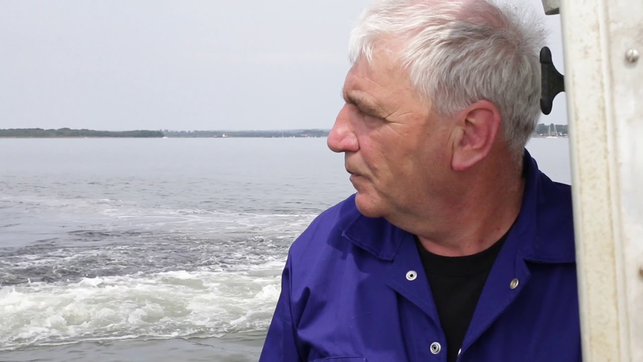 PKF Francis Clark Case Study | Othniel Oysters