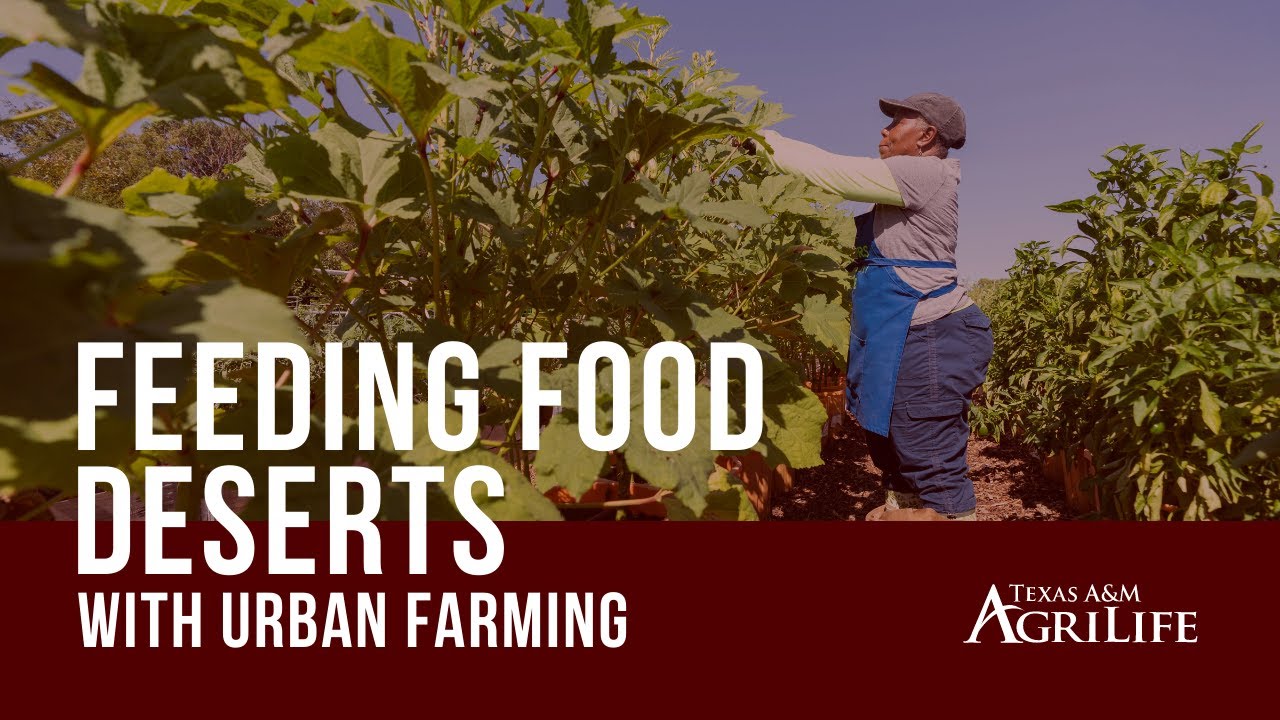 Texas A&M AgriLife Extension Services Filling the Gap in Dallas Food Deserts