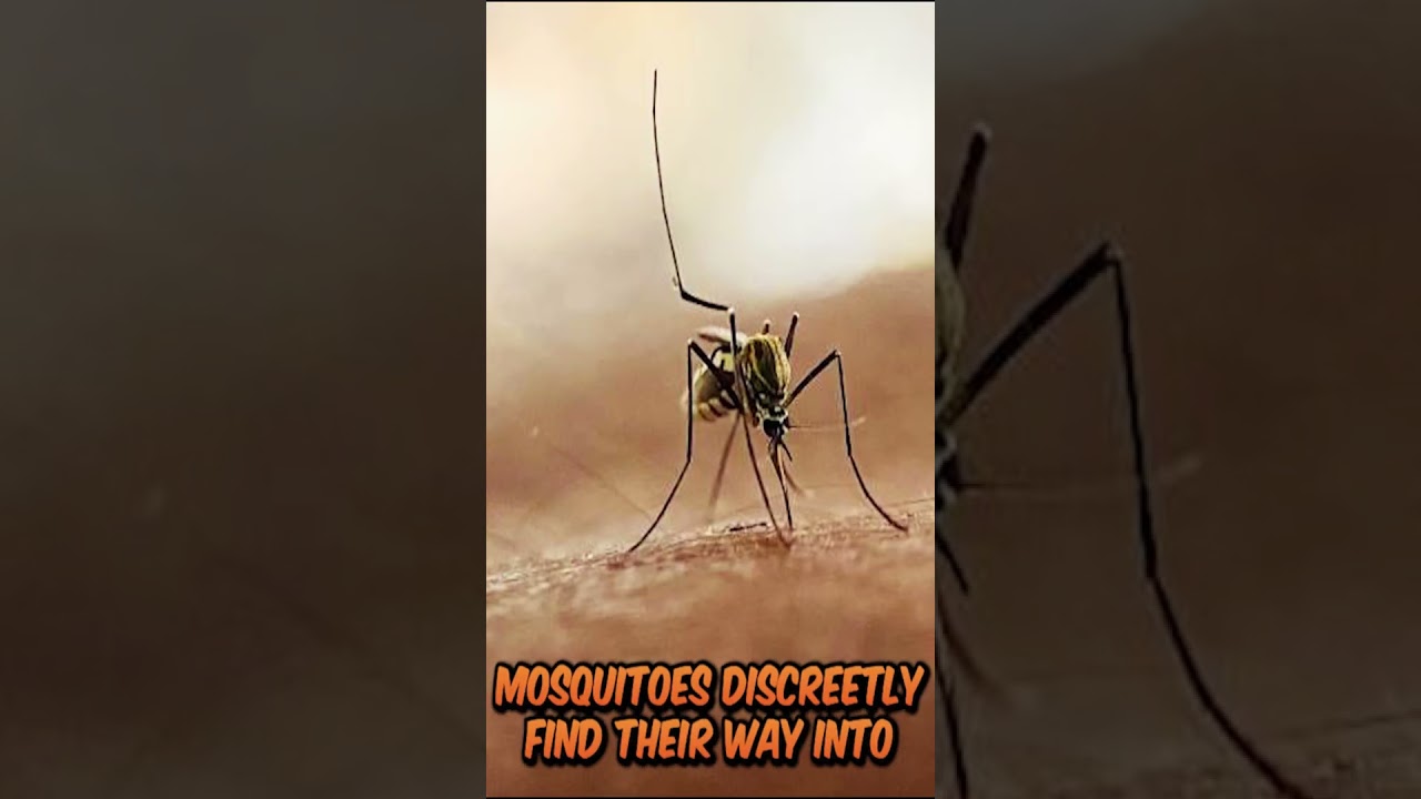 Malaria: The Silent Killer - What You Need to Know #history #africa