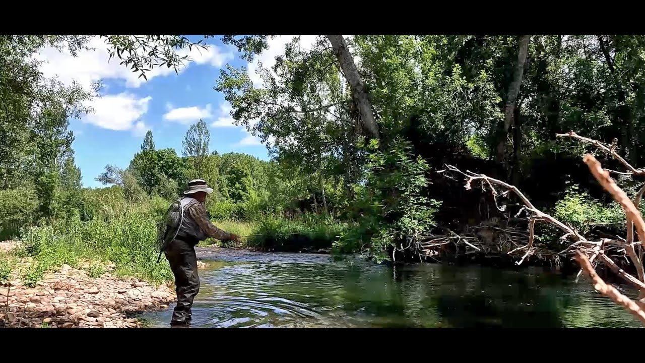 RÍO NATURAL ¡ATRACÓN DE TRUCHAS!