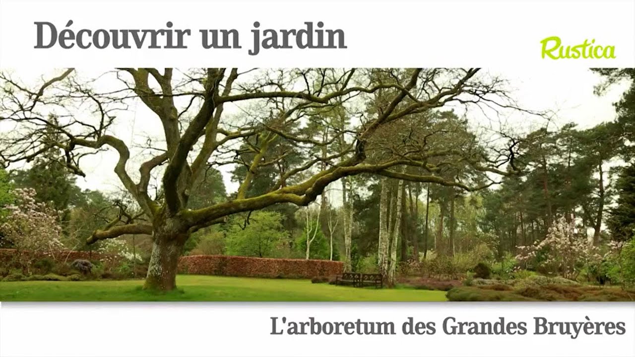 A la découverte de l'arboretum des Grandes Bruyères