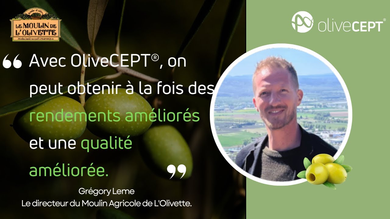 Exploration de l'impact d'oliveCEPT et PEF : Visite au Moulin Agricole de L'Olivette