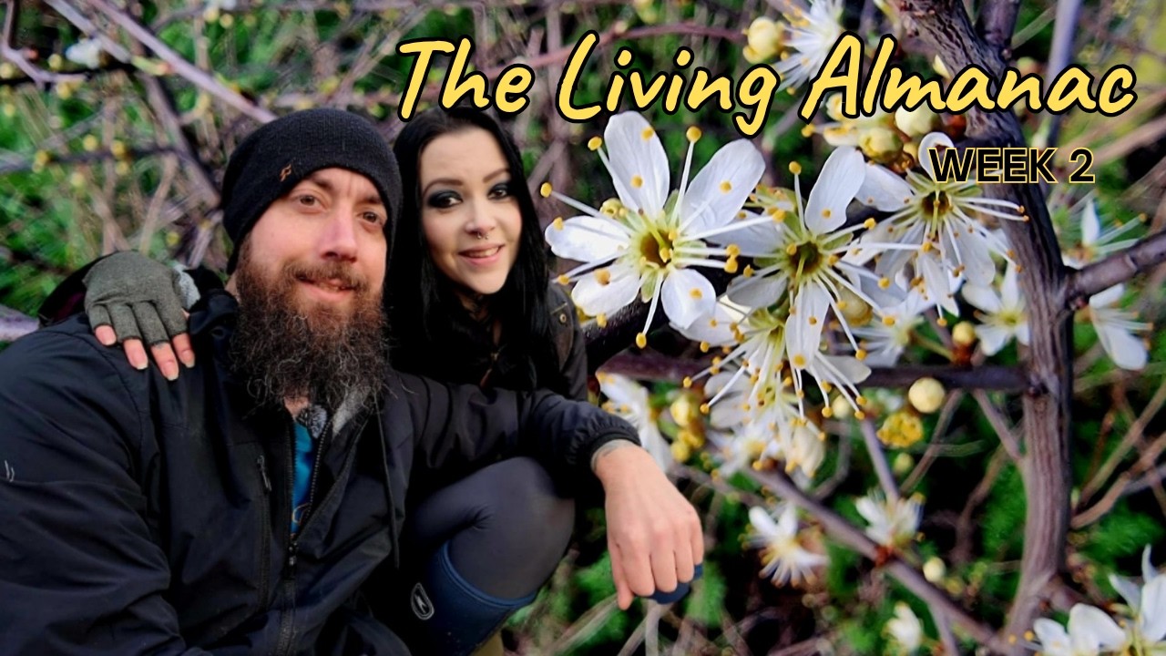 Wheel of the Year The Constant Path  Planting 2,000 Trees & New Beginnings