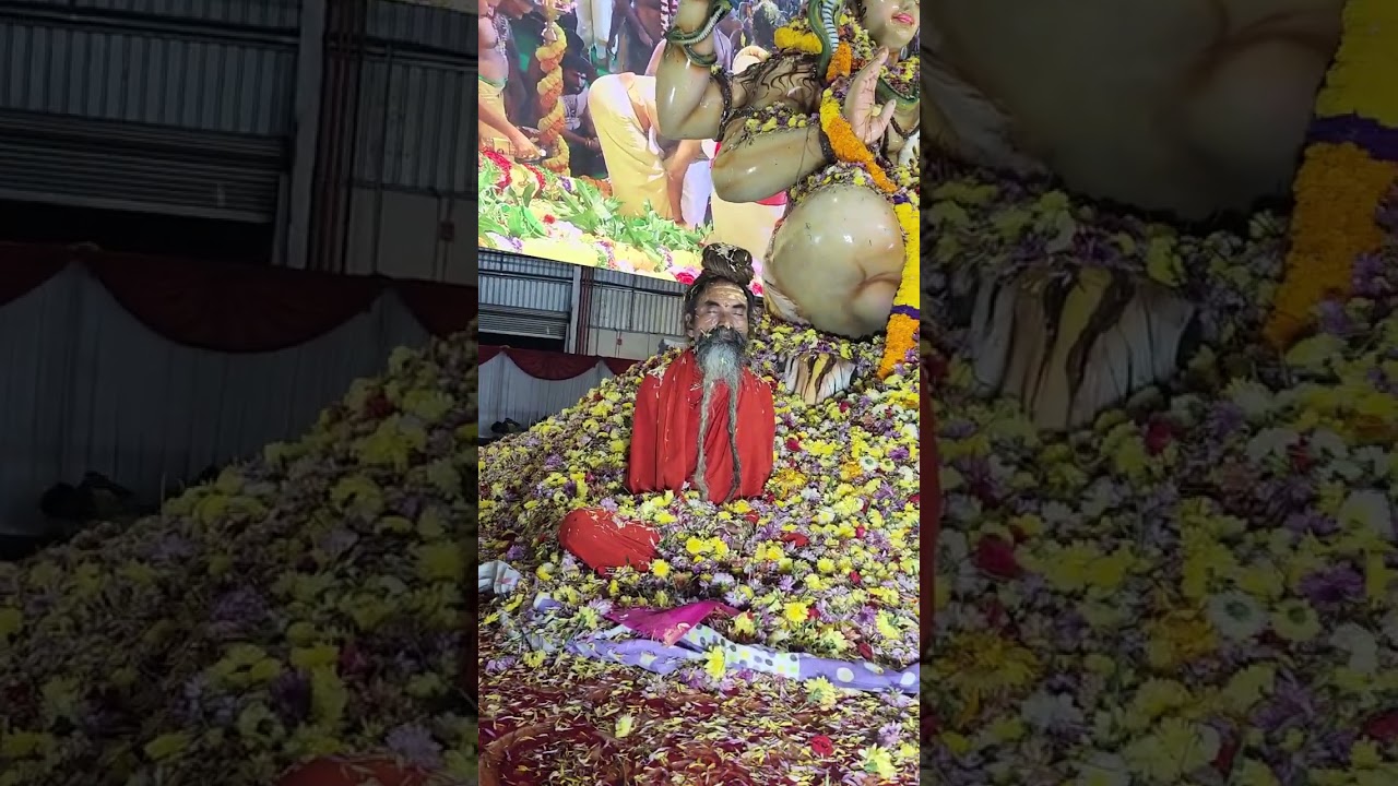 गहरा ध्यान में स्वामी ज्ञानानंदगिरिमहारा |  क्रिया योग कक्षाएं हर दूसरे रविवार फोन: 9951576619