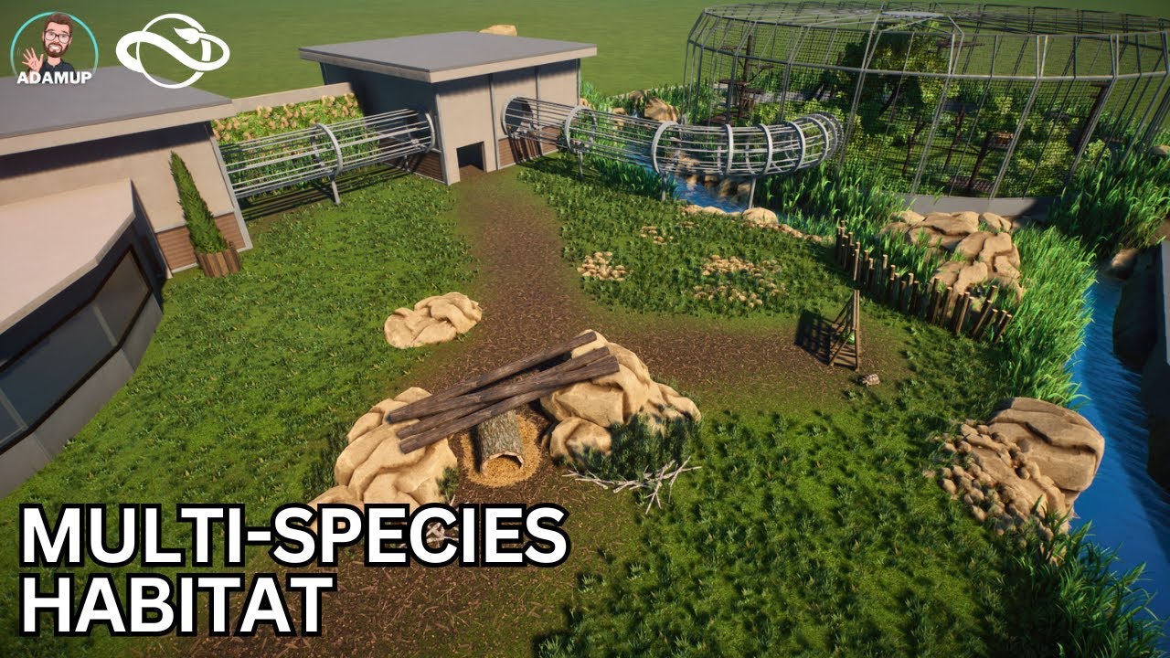 Building Baboon & Tortoise Island - A Multi Species Planet Zoo Habitat