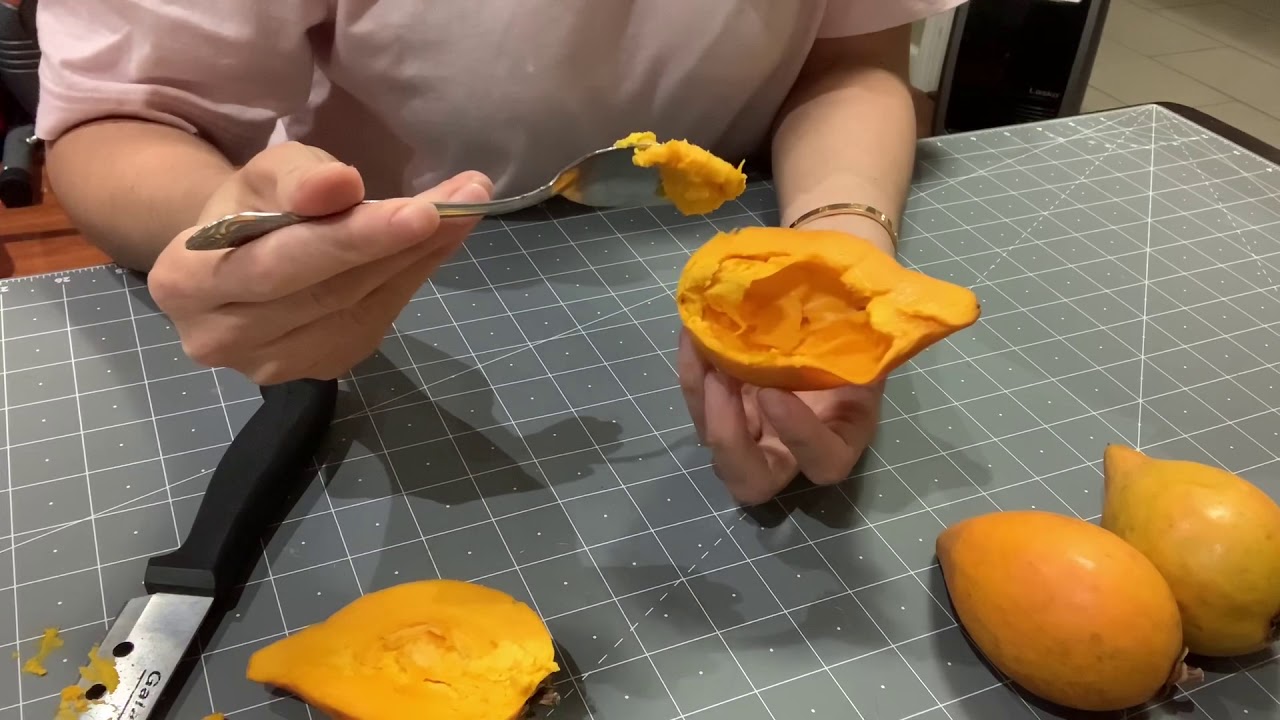 Canistel/Egg Fruit Tasting: 1st Time Trying.