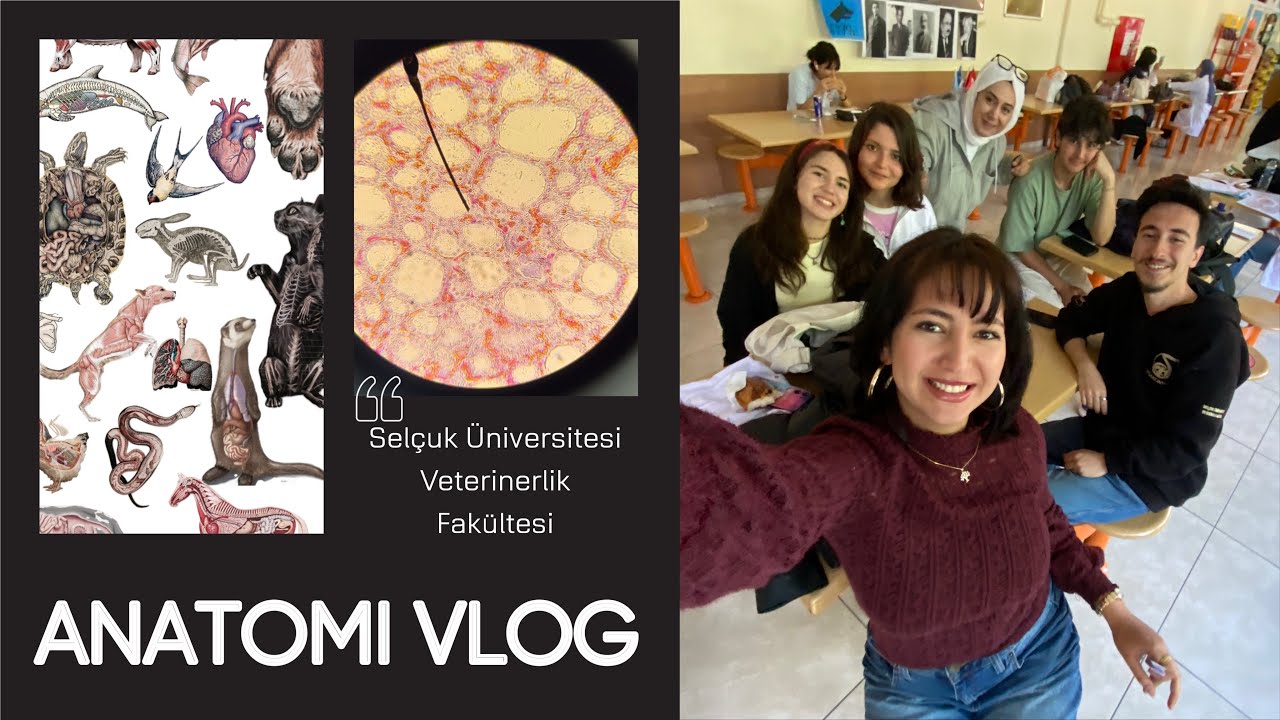 ANATOMİ VLOG | Selçuk Üniversitesi Veterinerlik Fakültesi