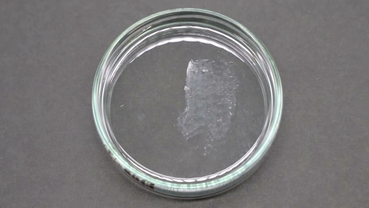 Japan invents ocean-safe plastics | REUTERS