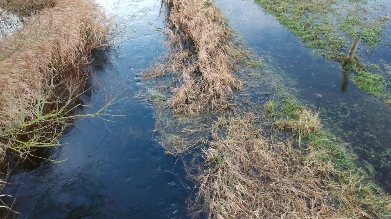 The Wetlands Trust, Thurles, County TIpperary Ireland.