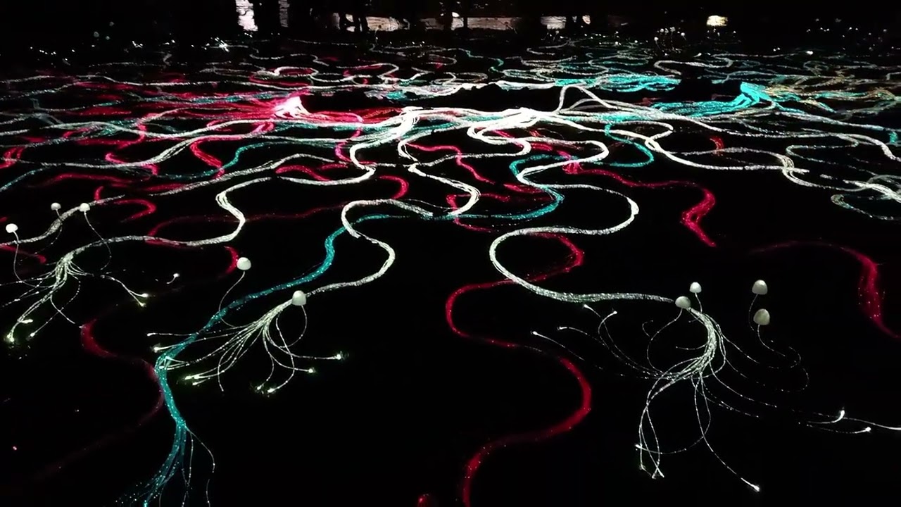 Nottingham light night 2026 Saturday castle 