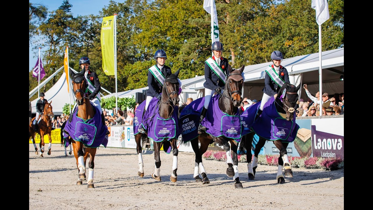 Yearling Filly - Contendro I x Black Jack x Heraldik xx