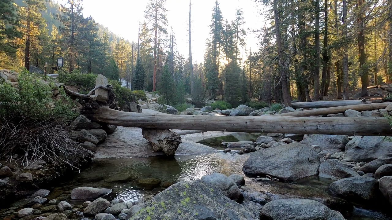 8 Hours of Relaxing Sequoia River ASMR