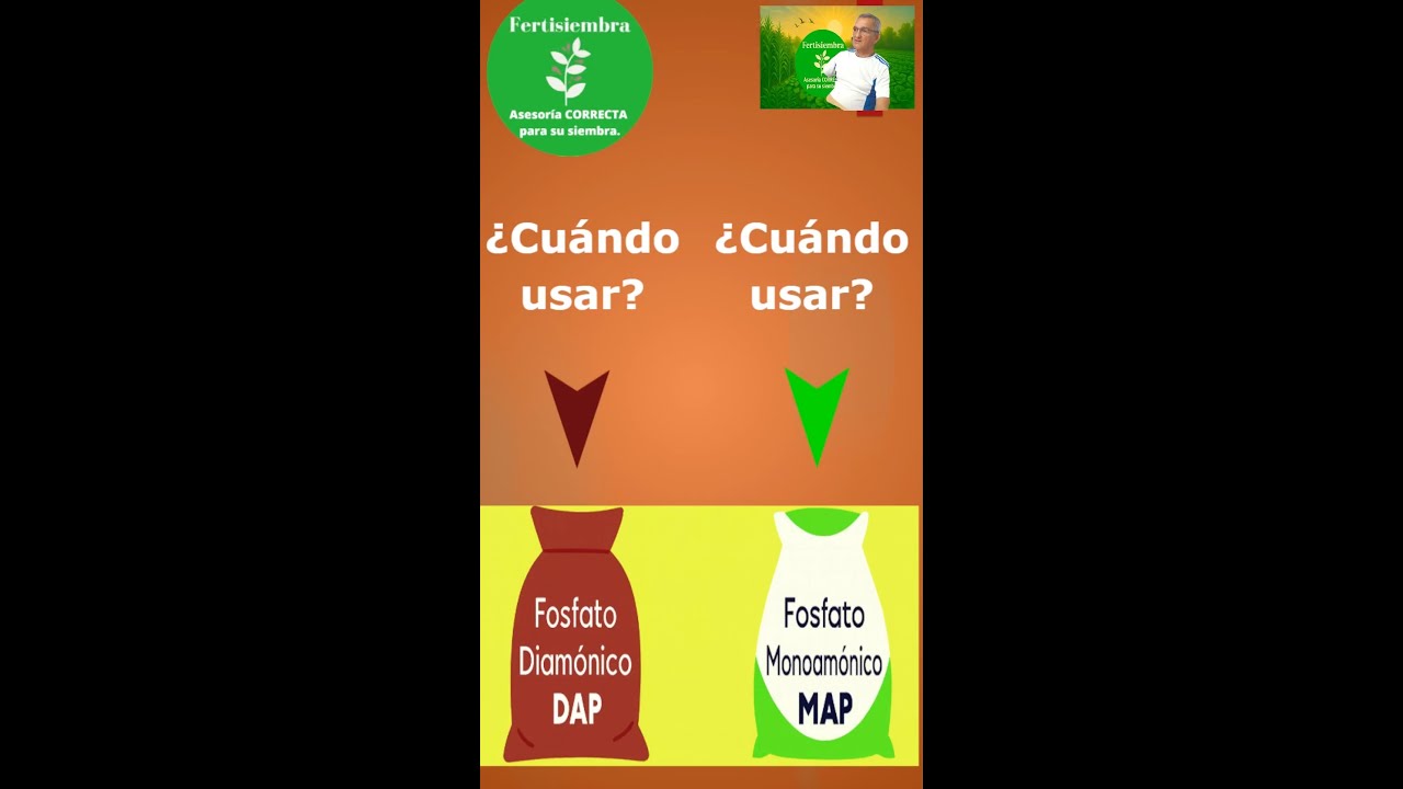 ¿Cuándo usar DAP y cuándo MAP en tu siembra?