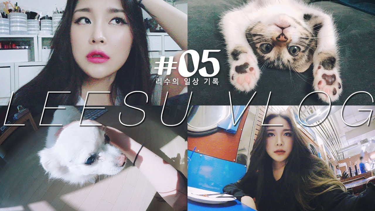 (cc) 리수의 일상 기록 Leesu Vlog #05