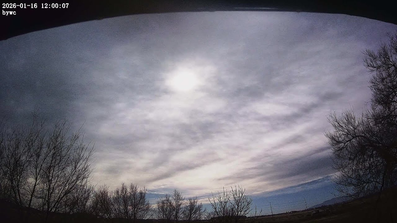 Fri, Jan 16, 2026 Back Yard Weather Cam Timelapse
