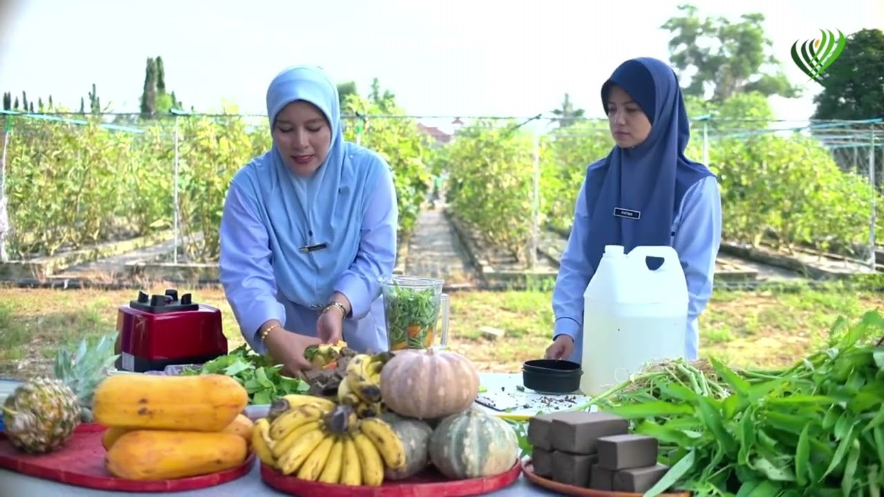 Cara membuat Organic Plant Booster #myDOA