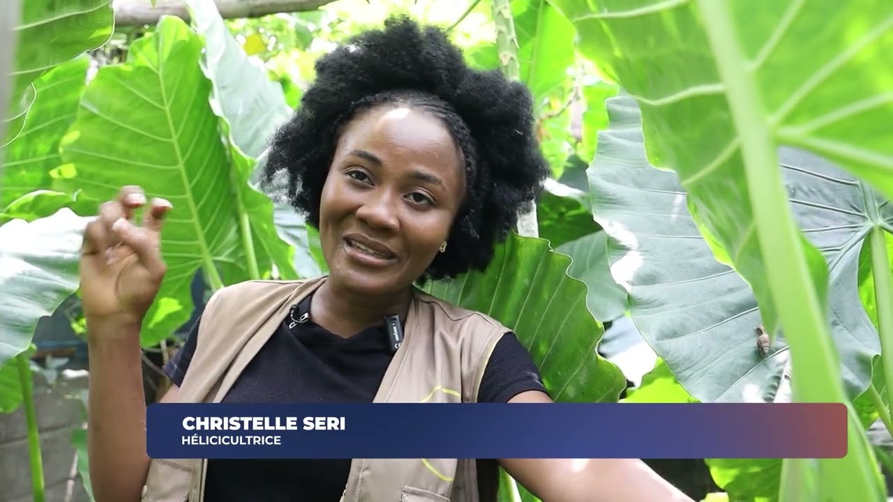 Femmes et élevage en Côte d’Ivoire une présence en forte progression