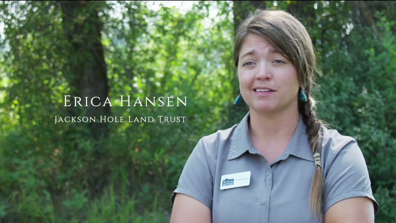 The Snake River Corridor Project