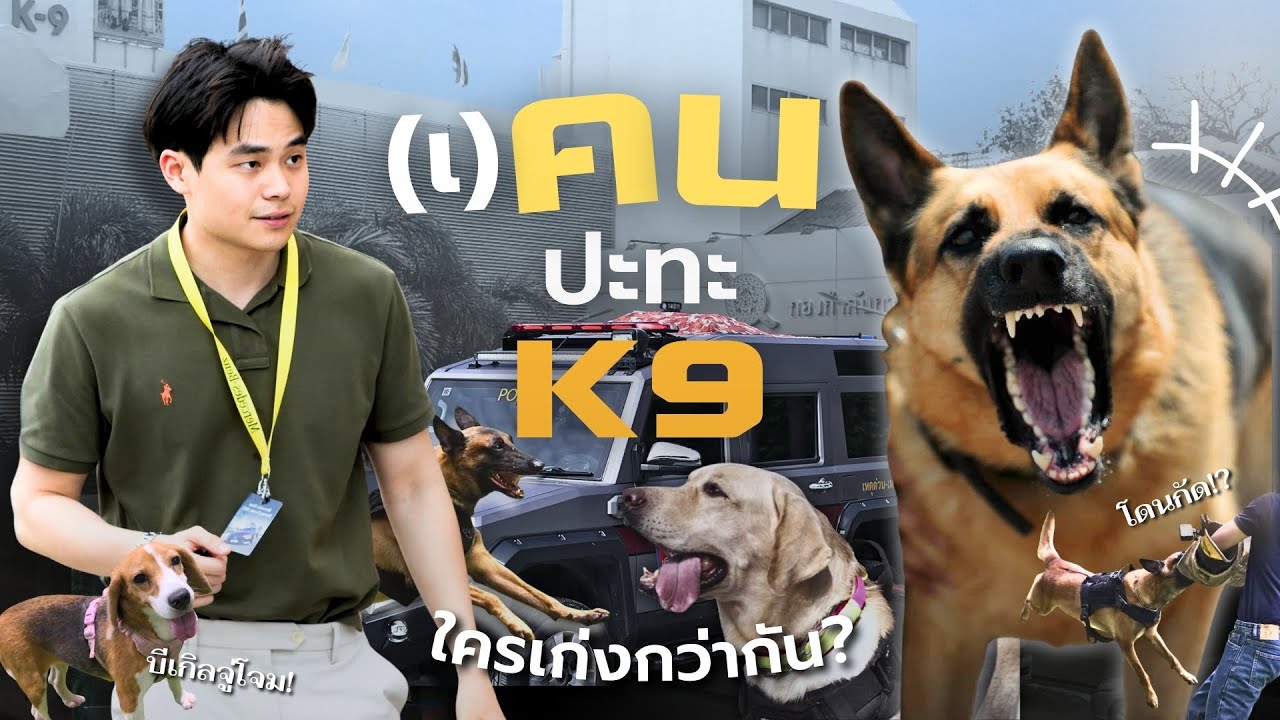 ปะทะสุนัข K9! | กองกำกับการสุนัขตำรวจ