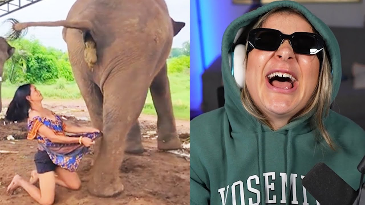 Pessoas idiotas da internet fazendo merda...