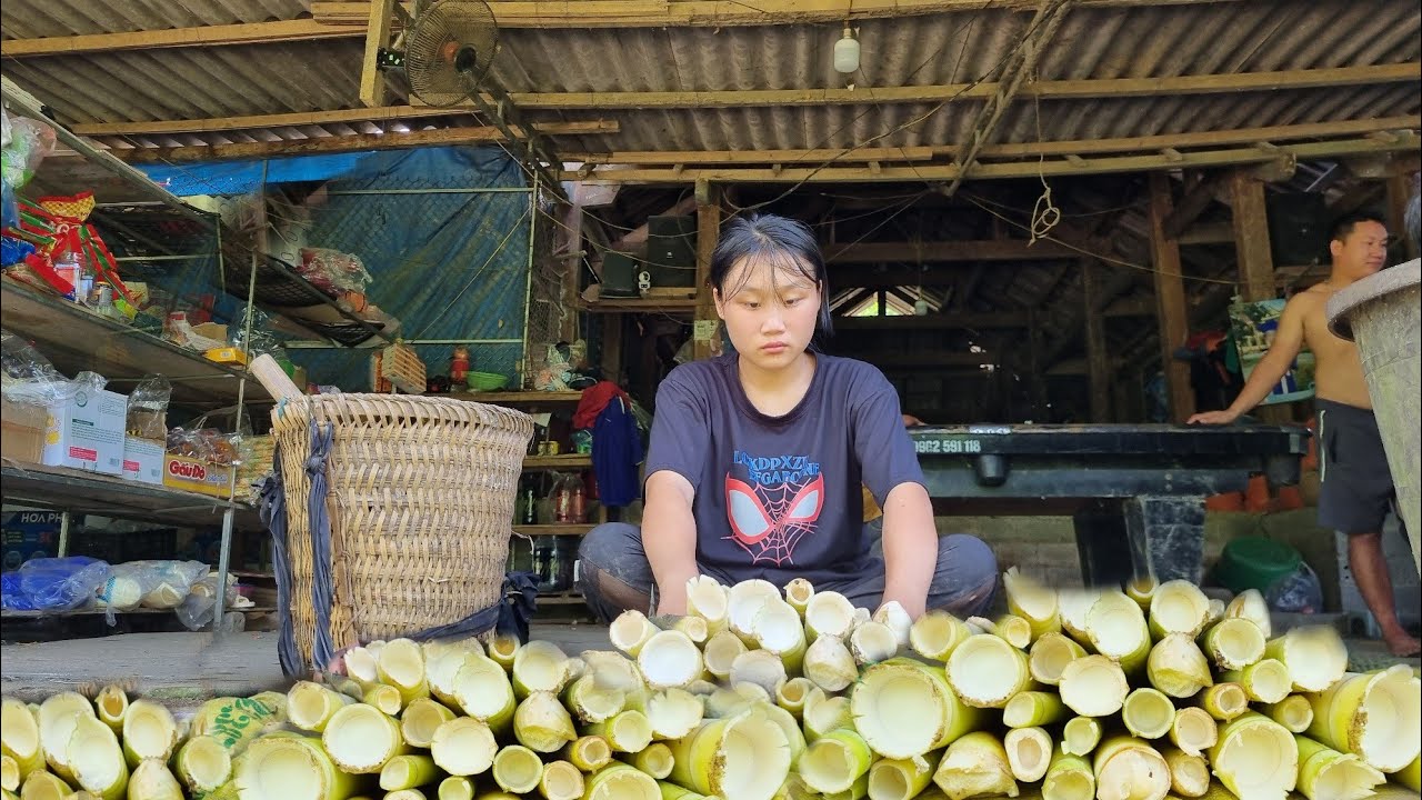 boy,and girl harvesting wild bamboo shoots on the forest tor sale l Forest life,buy fruit to eat