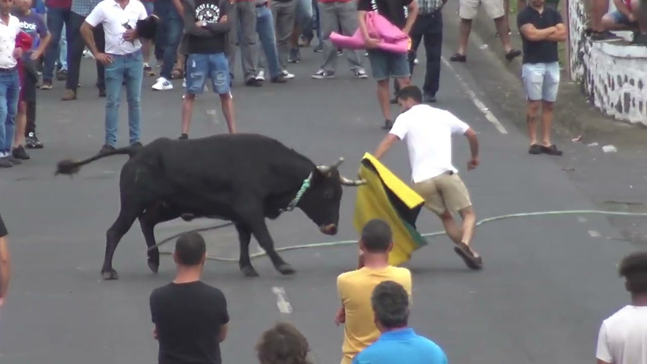 FESTA SENHORA DA AJUDA  EG & HF   VILA NOVA