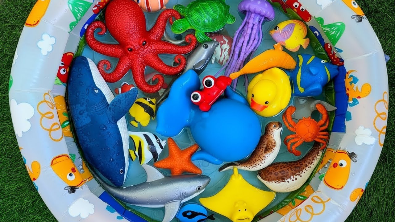Sea Animal Toys & Facts for Kids | Learn Ocean Creatures for Preschool Learning| ocean creatures
