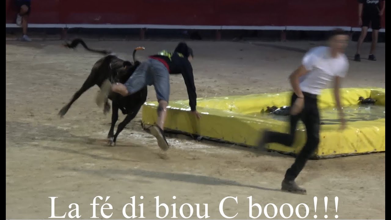 Villeneuve-lès-Maguelone ▶toro piscine◀ 15.06.2023