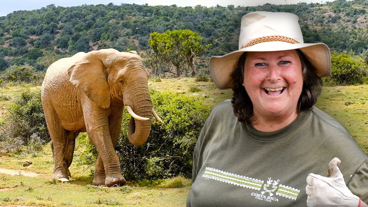 Shamwari Conservation Experience - Volunteer Reviews | The Great Projects
