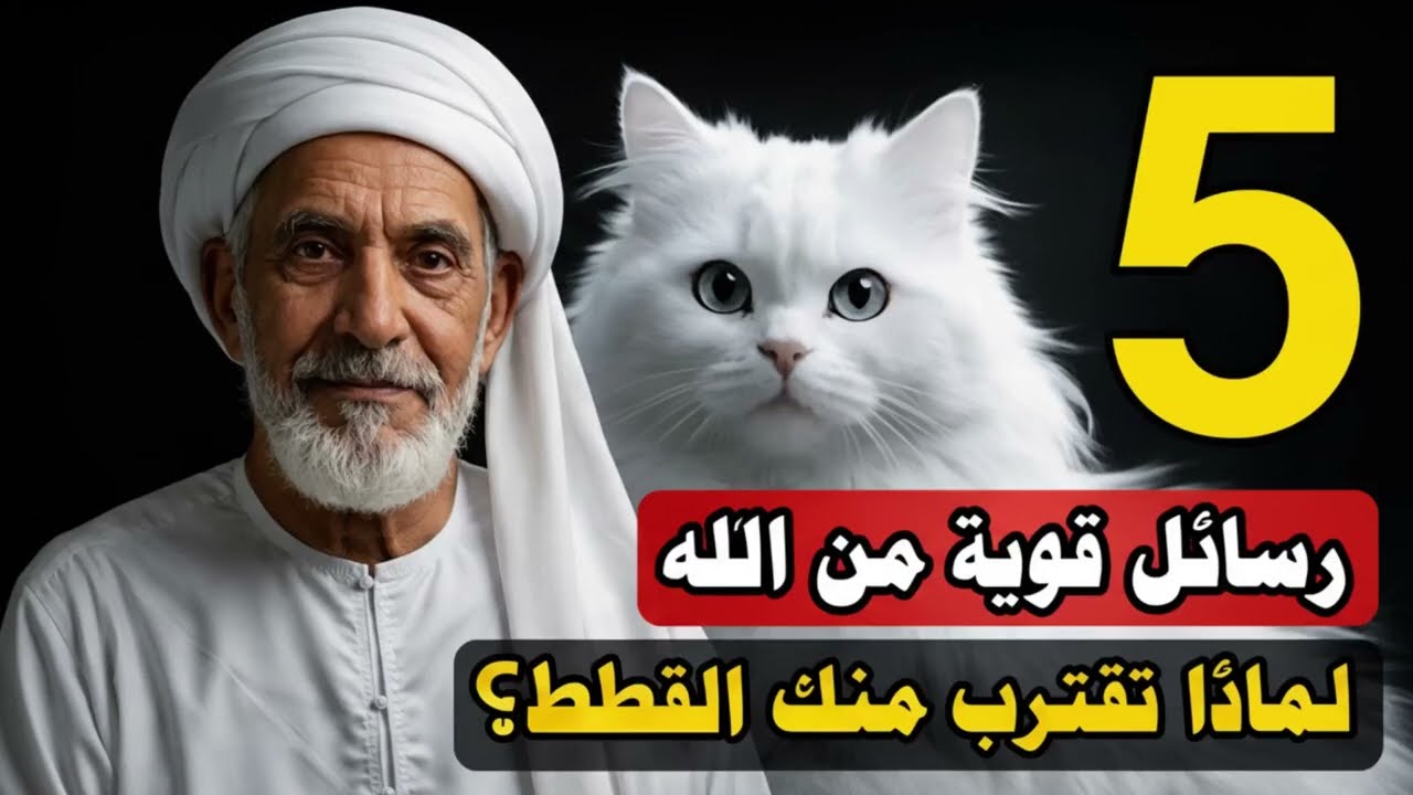 لماذا تقترب منك القطط فجأة؟ 5 رسائل قوية من الله... الخامسة ستدهشك!