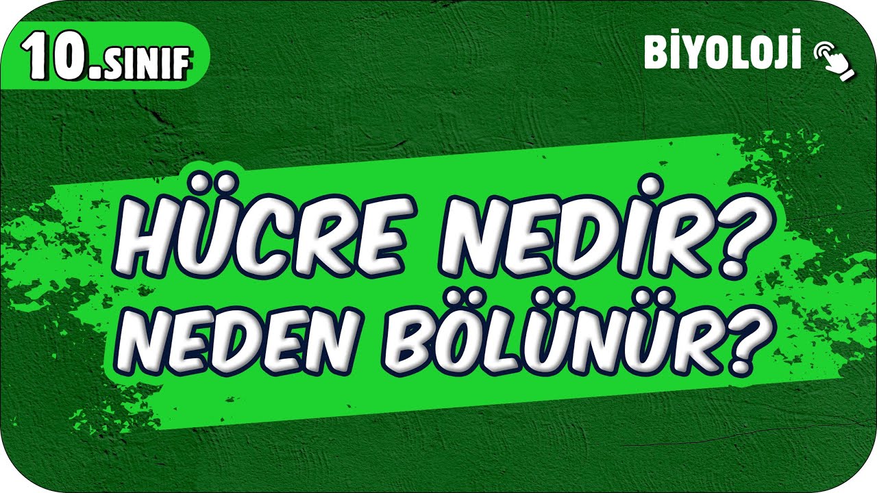 Hücre Nedir? Neden Bölünür? | 10.Sınıf Biyoloji #2025