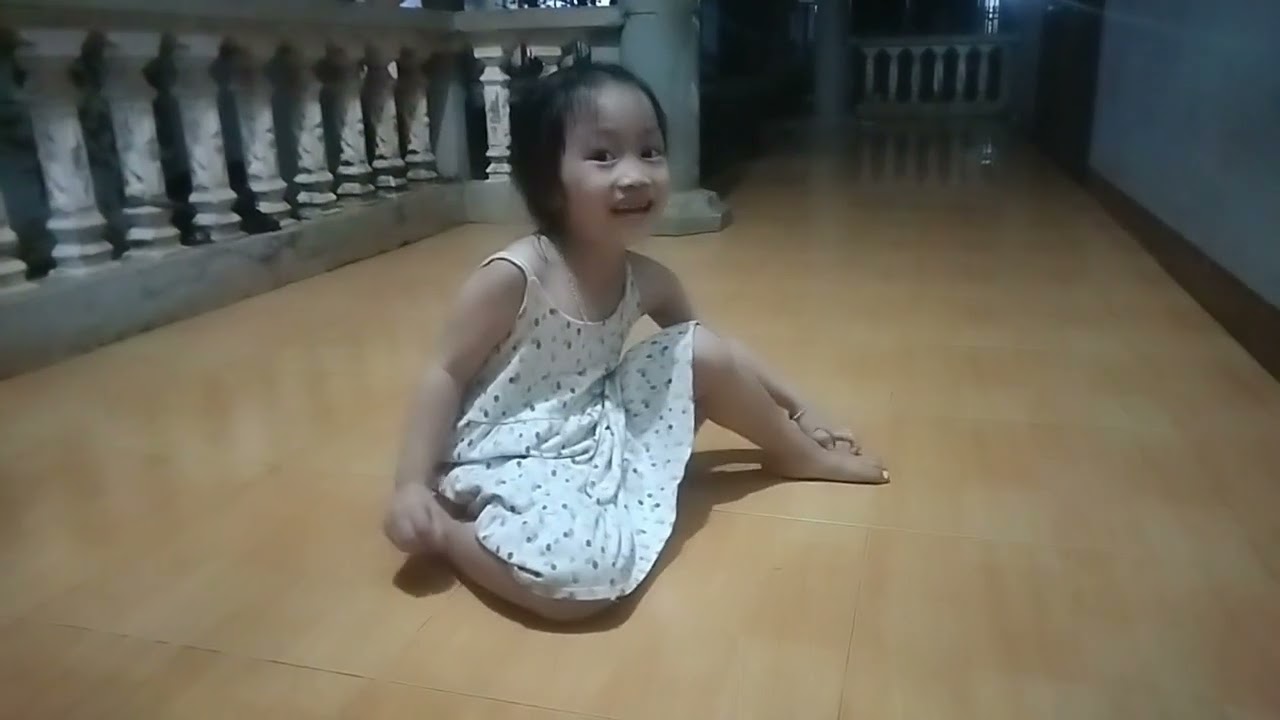 Giờ ăn của các bạn mèo đã đến 
