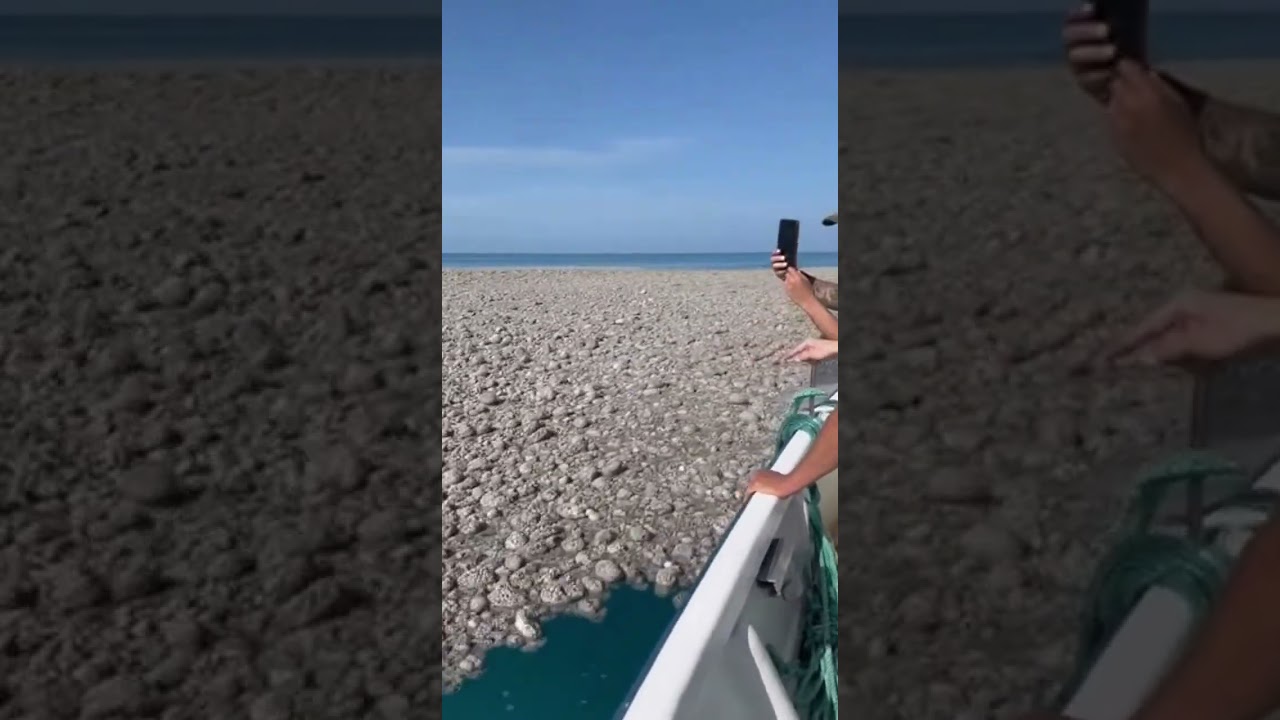 Floating on a Giant Pumice Raft