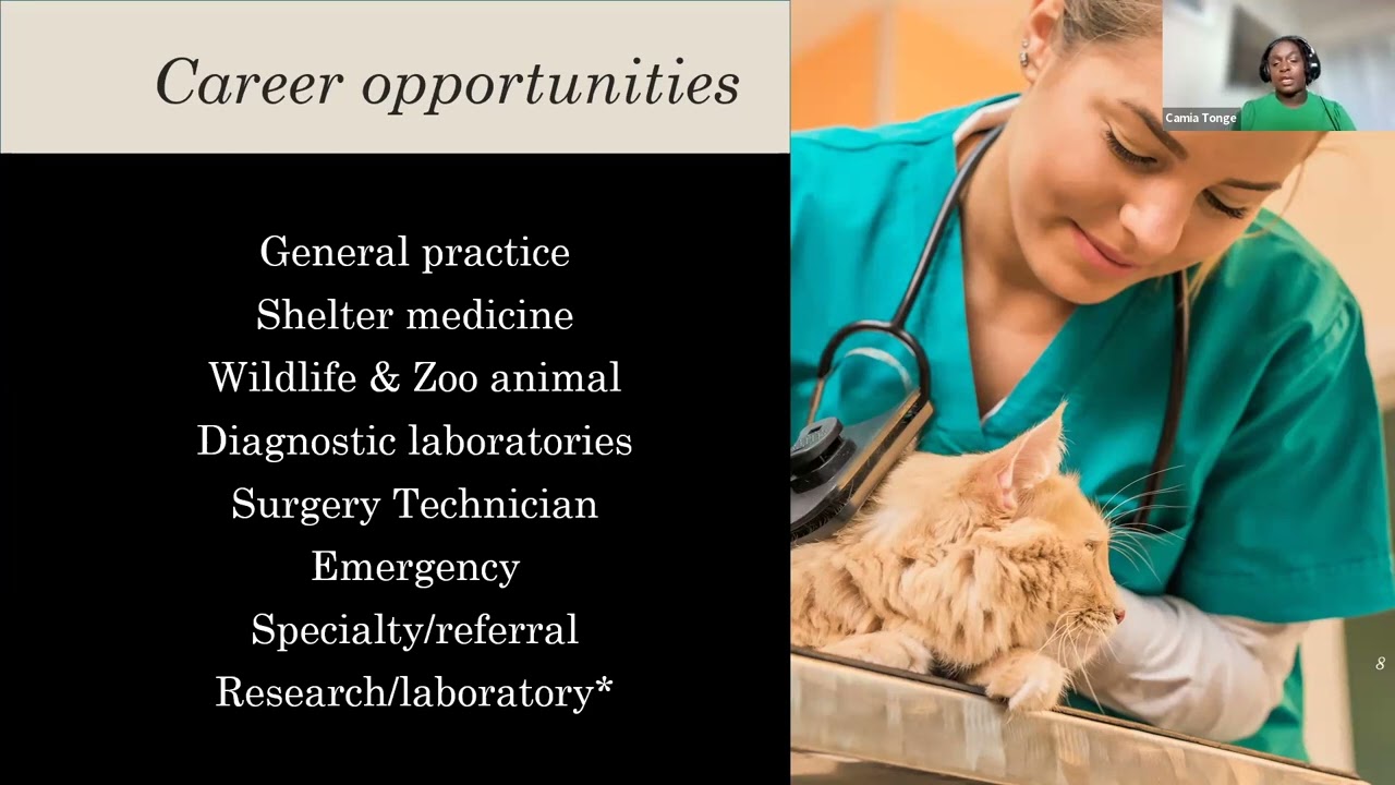 Pathway to Becoming a Veterinary Technician Specialist