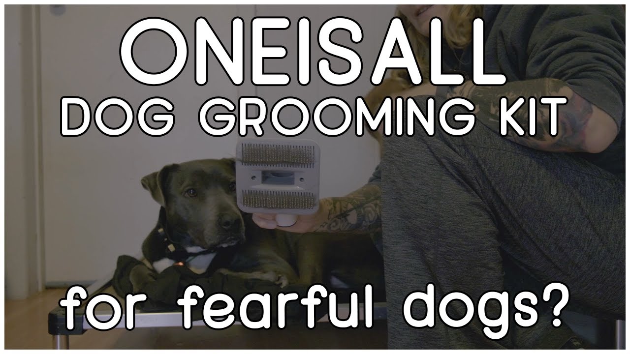 Oneisall Dog Grooming Kit - slight modification to use with fearful dogs