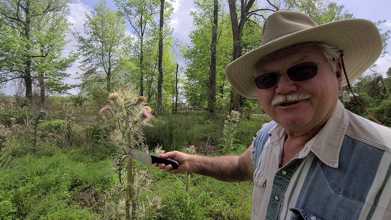 Thistle Harvest!