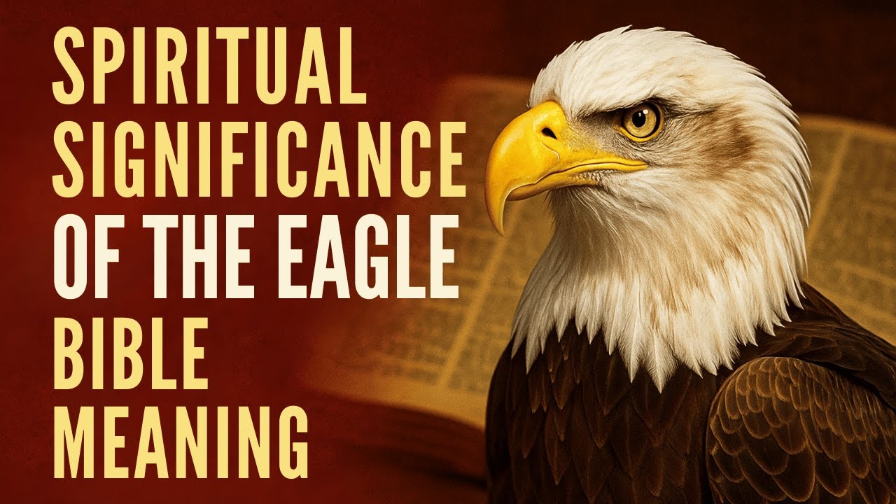 What Does the Eagle REALLY Symbolize in The Bible?