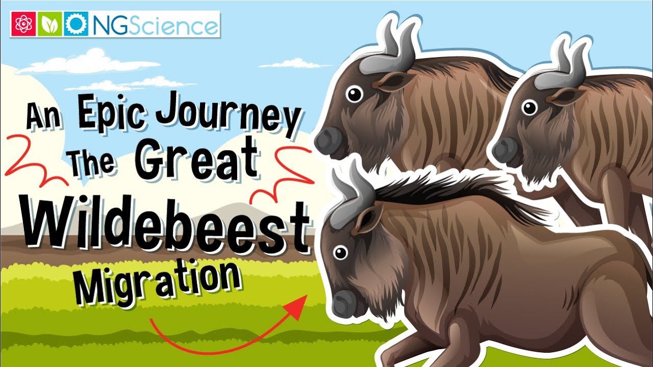 An Epic Journey &ndash; The Great Wildebeest Migration