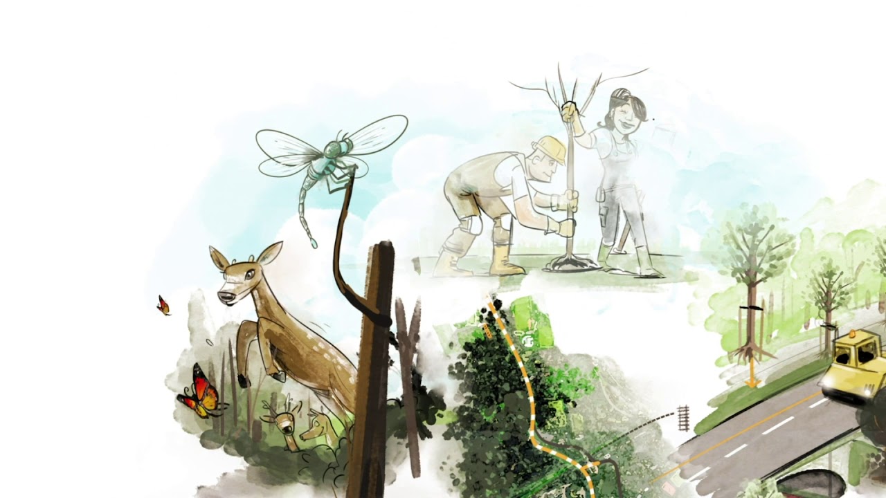 WHITEBOARD - Amersfoort Westelijke Ontsluiting