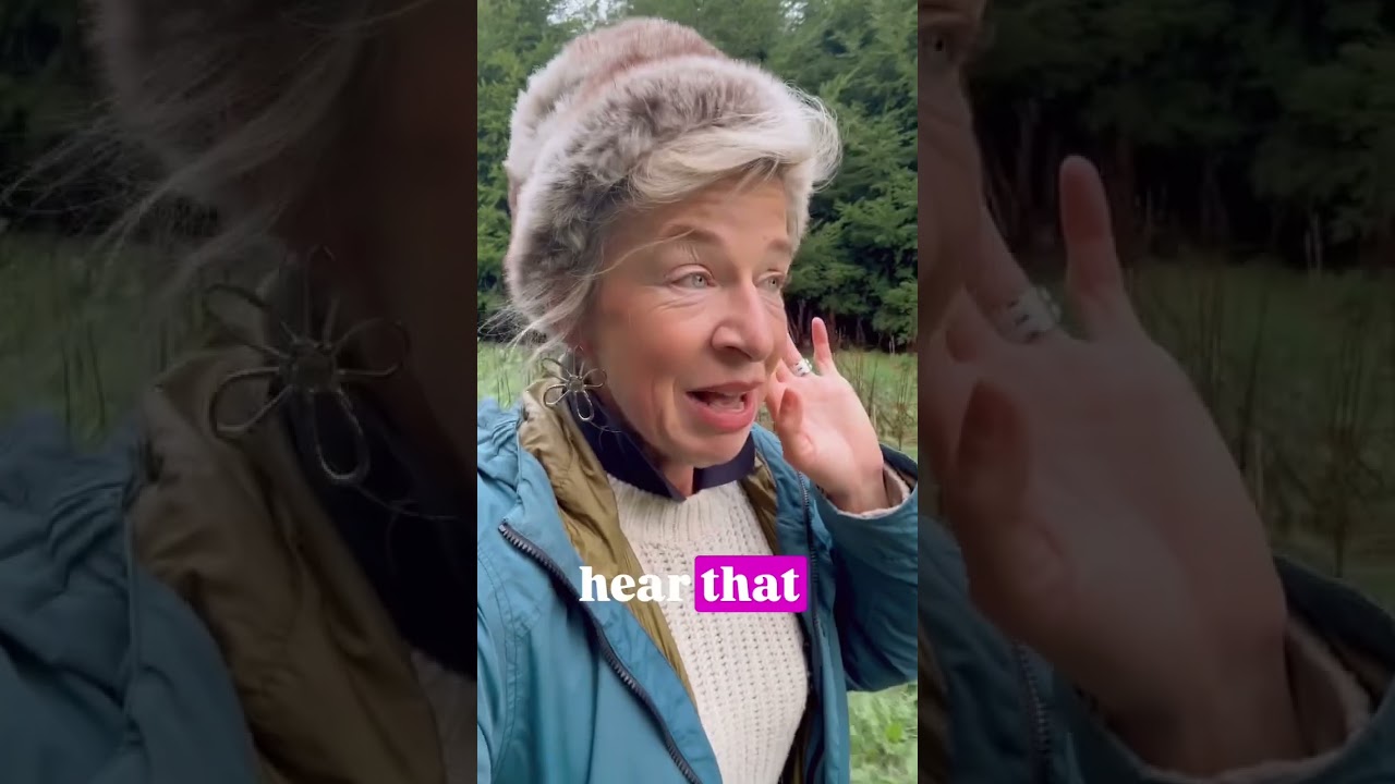 Katie Hopkins: Your daily news update