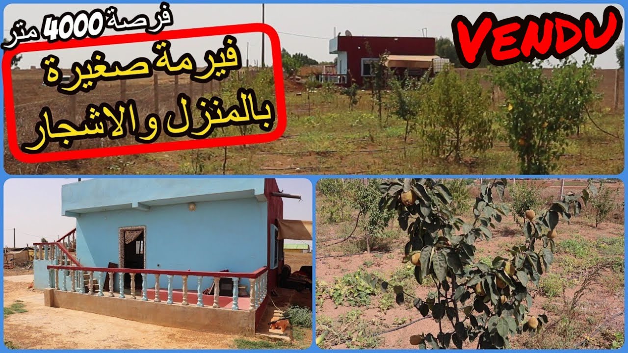 ✨فيرمة صغيرة على الطريق المعبدة بمنزل وانواع اشجار الفواكه المنتجة ✨ تيفلت
