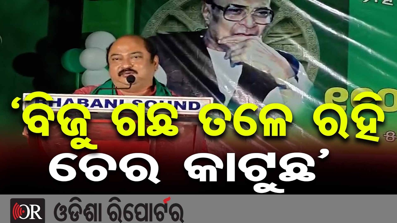 ‘ବିଜୁ ଗଛ ତଳେ ରହି ଚେର କାଟୁଛ’ | Odisha Reporter