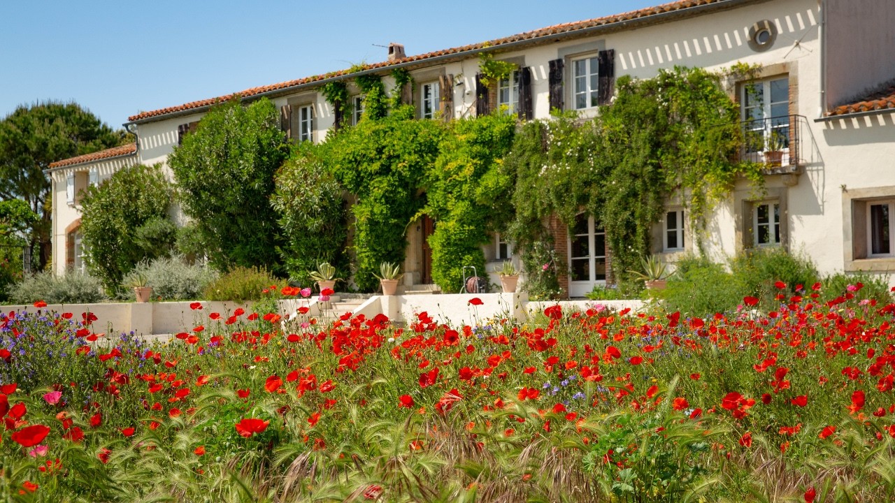 Hilltop Domaine for Sale Near Carcassonne - 10 Beds, Pool & Panoramic Views