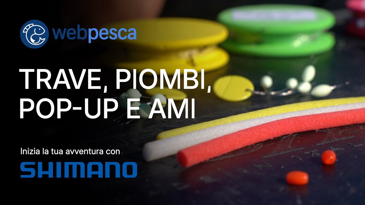 Travi, piombi, pop up e ami per il Surfcasting - Inizia la tua avventura con Shimano