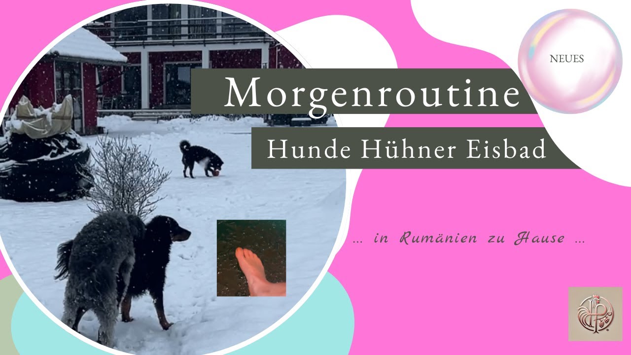 So starte ich jeden Morgen in Rumänien 🌿 Selbstversorgung, Tiere & Eisbad-Routine